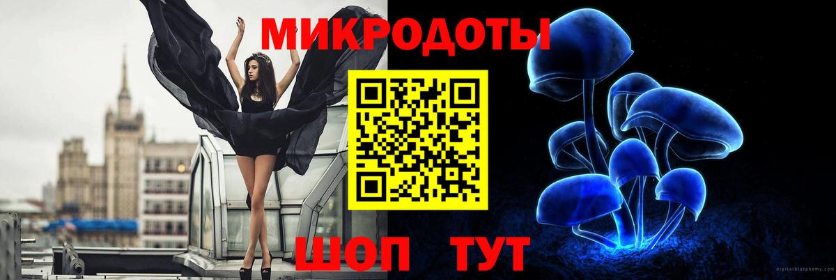 Галлюциногенные грибы Psilocybine cubensis Гудермес