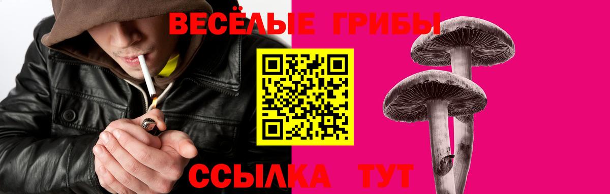 где купить   Псилоцибиновые грибы ЛСД  Вход с VPN  Гудермес 